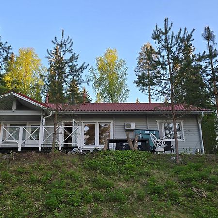 Valentin Cottage Enonkoski Bagian luar foto
