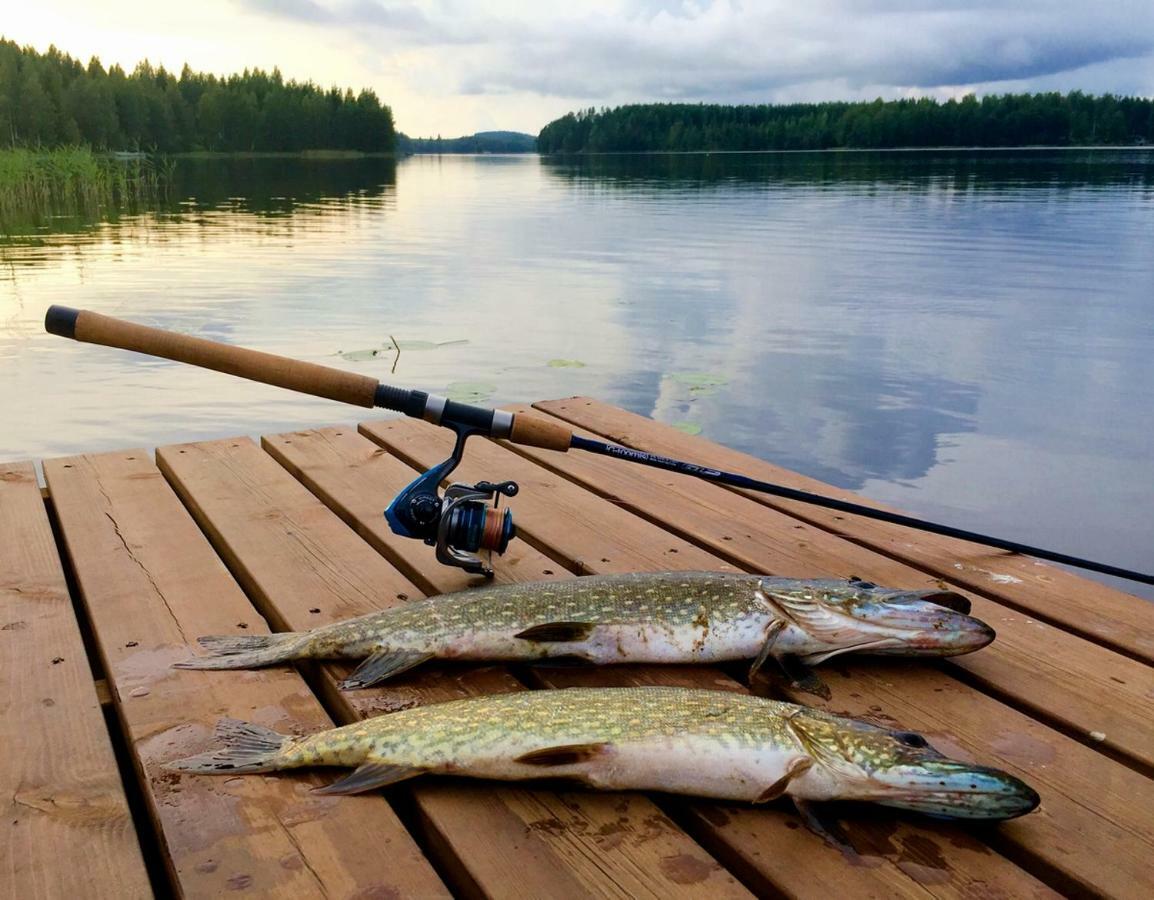 Valentin Cottage Enonkoski Bagian luar foto
