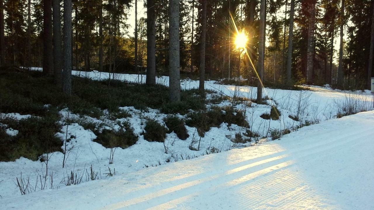 Valentin Cottage Enonkoski Bagian luar foto