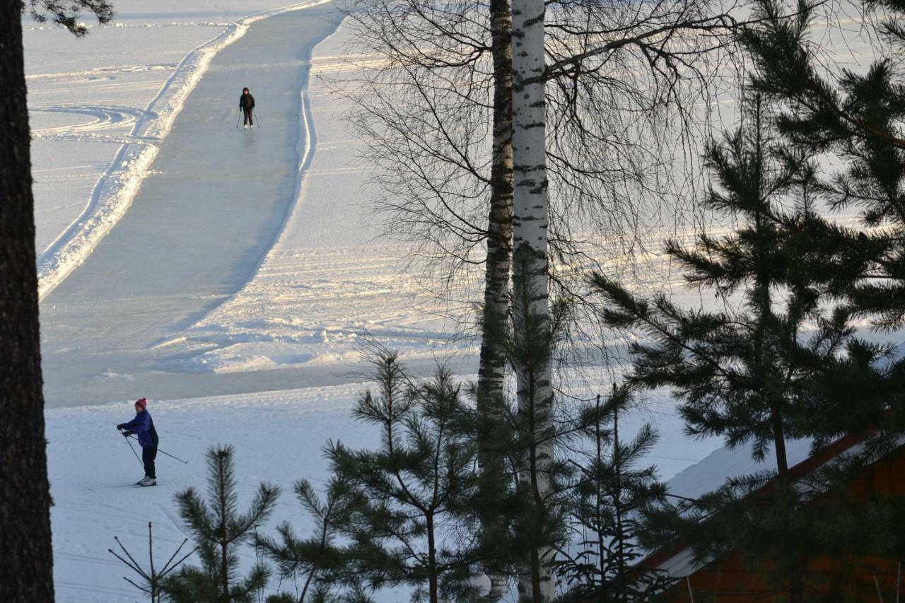 Valentin Cottage Enonkoski Bagian luar foto