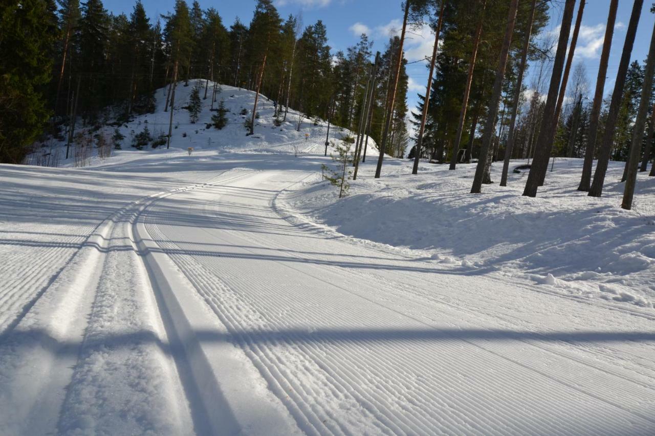 Valentin Cottage Enonkoski Bagian luar foto